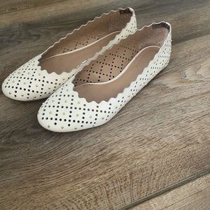 Chloe Lauren Scallop flats